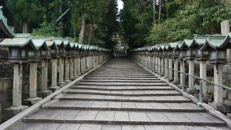 Your Phone Just Became a Plane Ticket: Inside Anime's Real-World Travel Obsession
